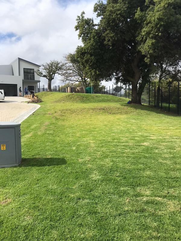 3 Bedroom Property for Sale in Protea Heights Western Cape